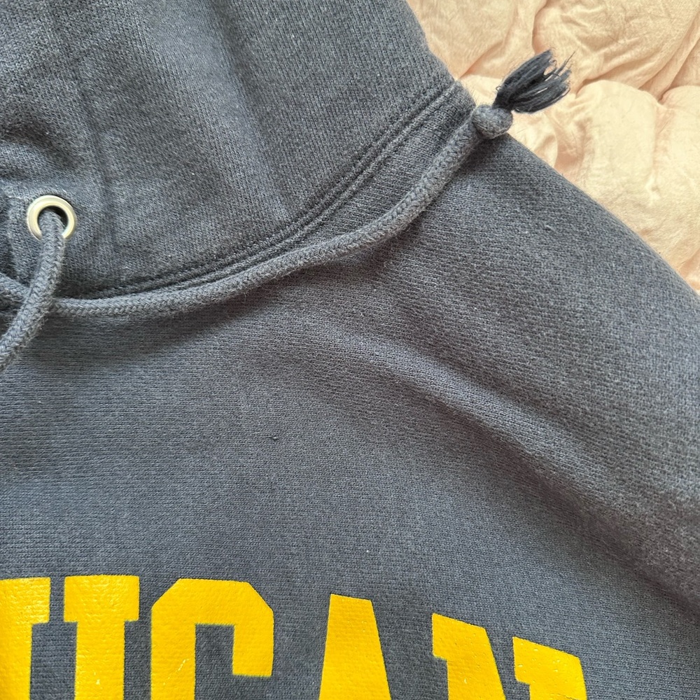 Champion Reverse Weave Michigan Hoodie Men’s XL Navy Blue - Picture 3 of 8